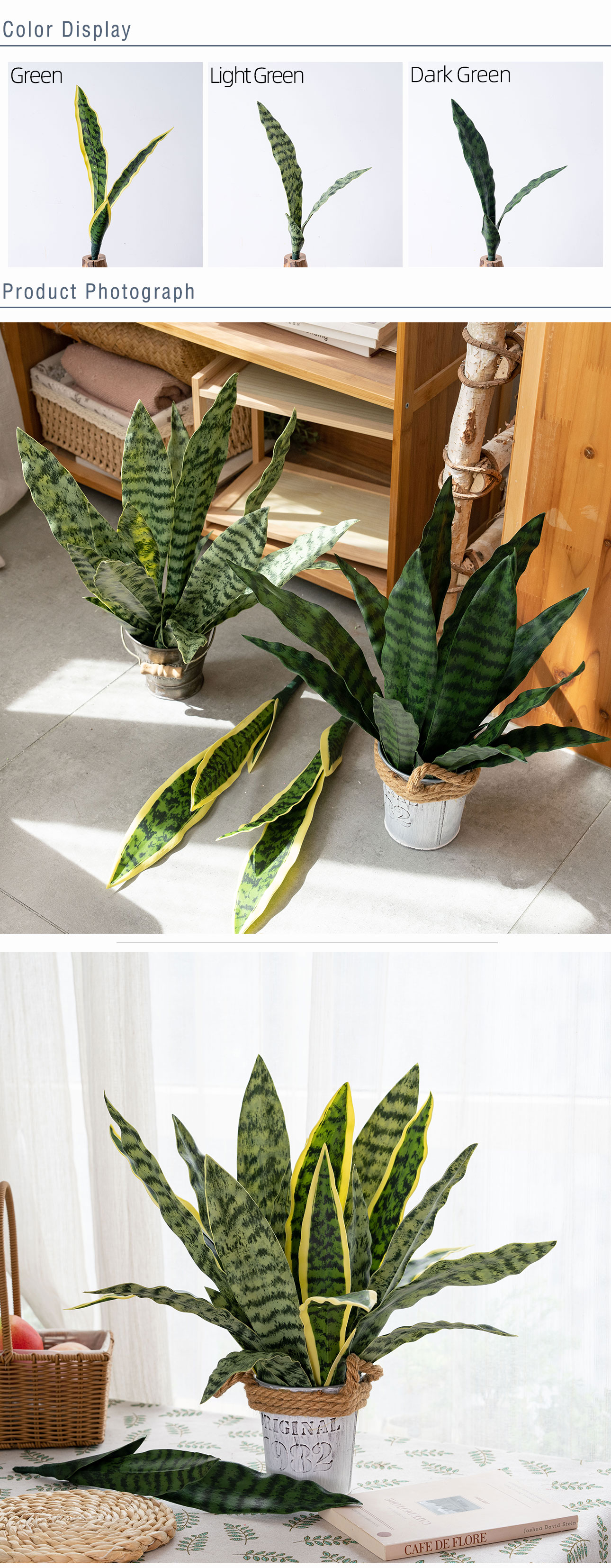 3 some CL20006